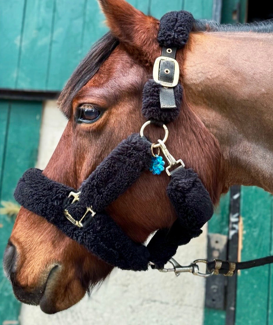 Médaille shiny bleu