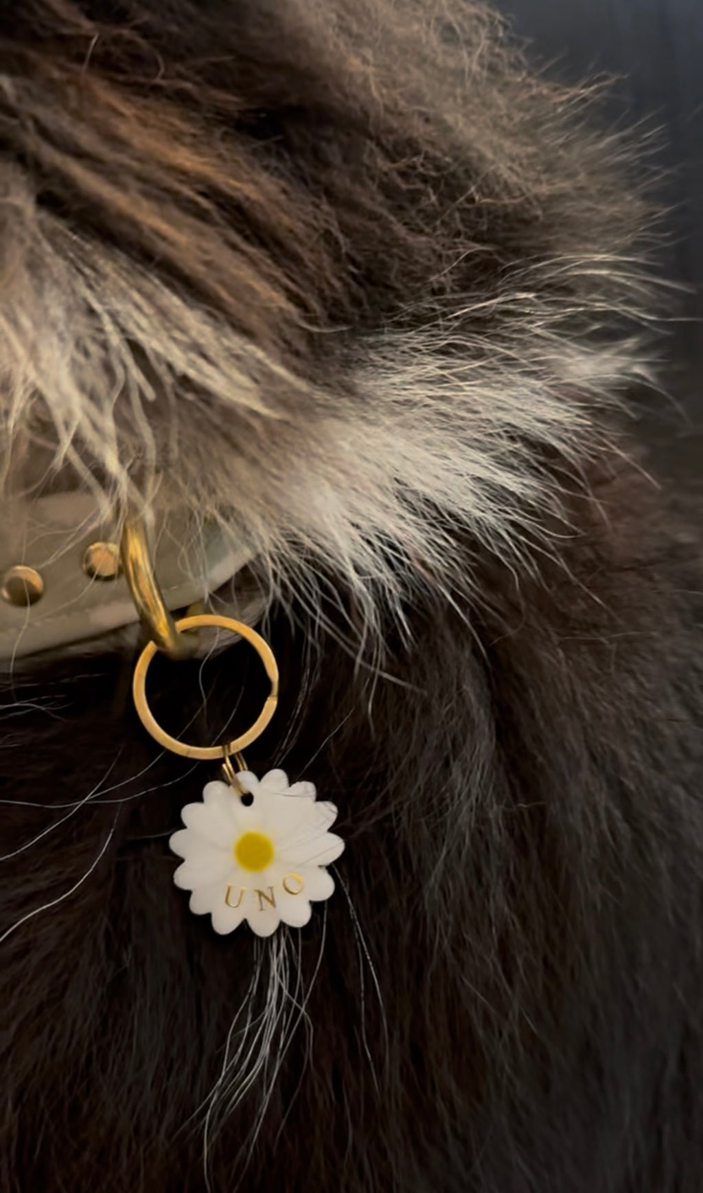 Médaille pâquerette
