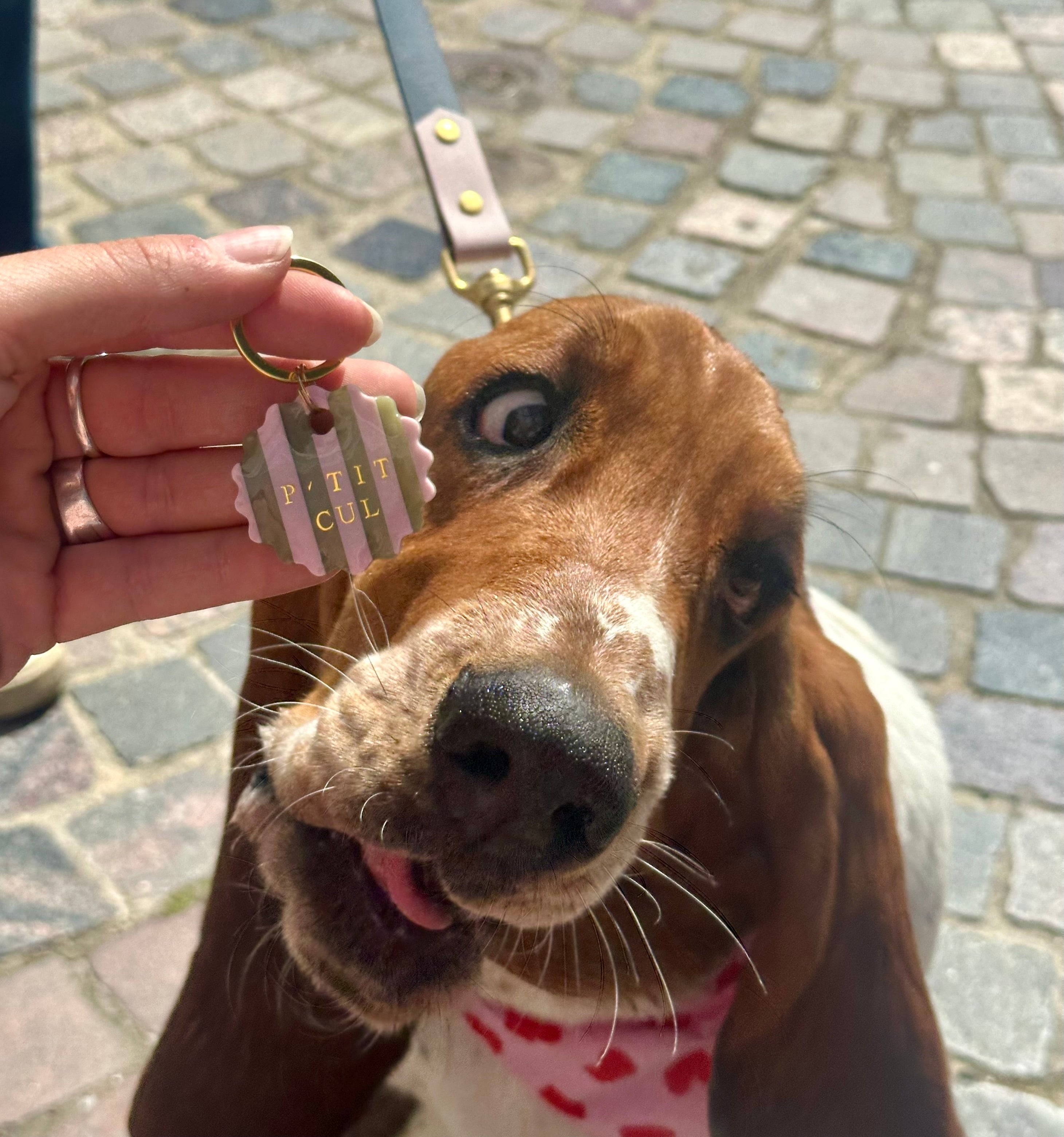Médaille tartelette marnière sauge et rose