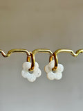 Mini Thibolettes de la mer Huîtres